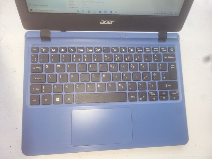 acer