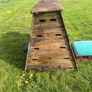 Springboard and horse Image 2