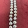 Southsea Pearl Necklace Image 3