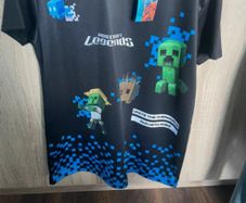 Boys Minecraft