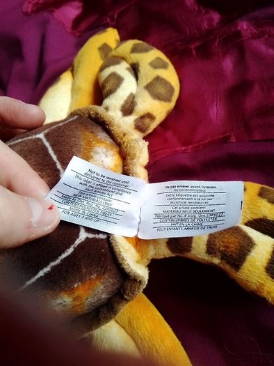 Bigeye turtle teddy (Fiesta)