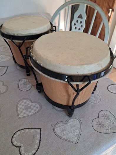 Bongo drums