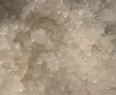 water kefir grains