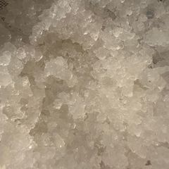 water kefir grains