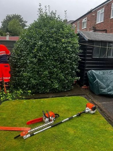 Gardening & Tree Service