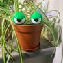 Grumpy Plant Eyes - 3D printed plant accessories Image 6