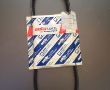Power Steering Belt (Fiat  Lancia)