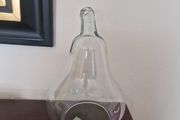 terrarium  3"