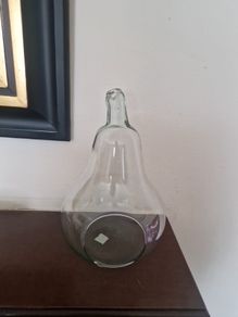 terrarium  3"