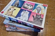 Jigsaw 4x500 cats