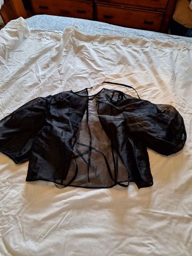 Black Organza Top