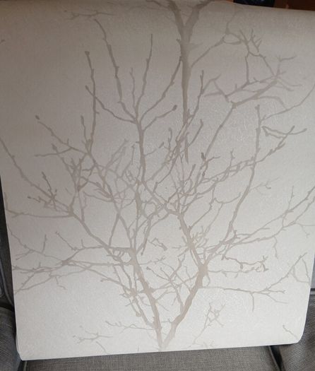 Offers  Please 3 rolls Wallpaper  with  Paste 10  euro for both