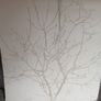 Offers  Please 3 rolls Wallpaper  with  Paste 10  euro for both Image 4
