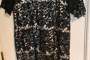 Jacques Vert Black Lace Dress UK20 Timeless Elegance for Special Occasions