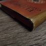 Elizabeth, Captive Princess ! by Margaret Irwin ! 1950 ! Hardcover ! by Reprint Society ! Image 7