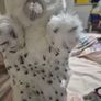 Hand Puppets. Bnwt Image 3