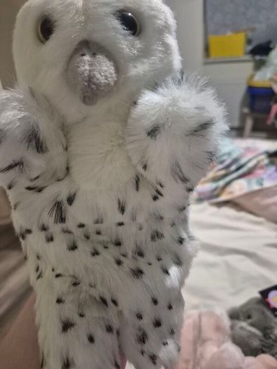 Hand Puppets. Bnwt