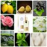 Angelys Pear by Nicolai Image 3