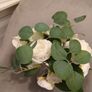 Brand new faux flowers in glass vase Image 2