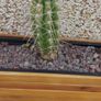 Wooden Planter Image 4