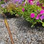 Large Hanging Baskets Image 6