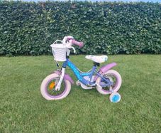 Kids Frozen Bike