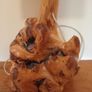 Burrell Root Unique Wooden Sculptural Table Lamp Image 2