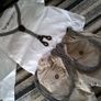 Elegant set for boy Next/Zara 9-12 months Image 2