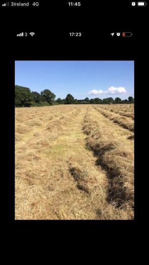 Small square bales of hay