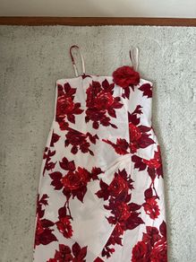 womens Debut dress