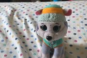 Teddy