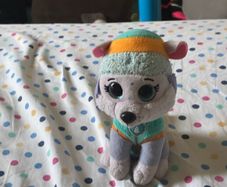 Teddy