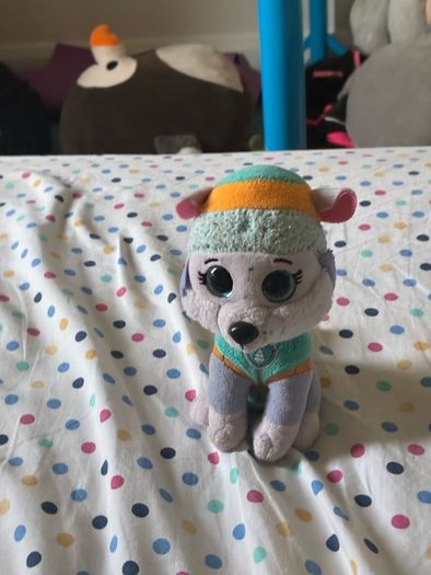 Teddy