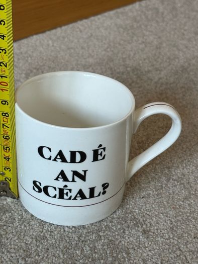 Cad E An Sceal Ceramic Coffee Mug