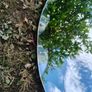 Vintage Mirror Image 2