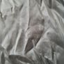 Adidas windbreaker jumper silver shiny size L 16uk Image 3