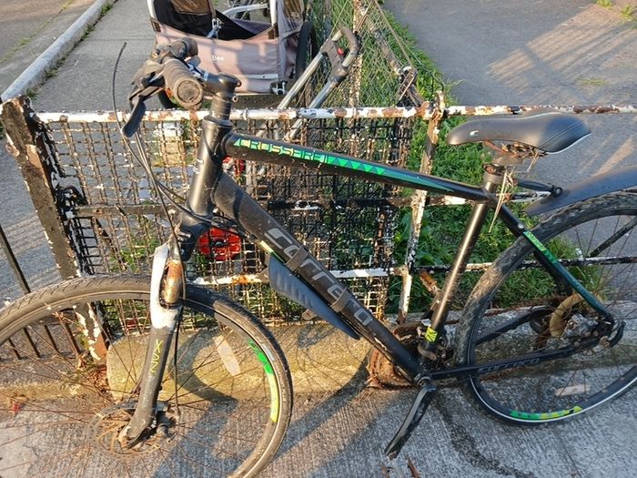 carrerra bike