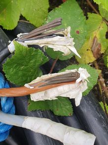 Armoured cable