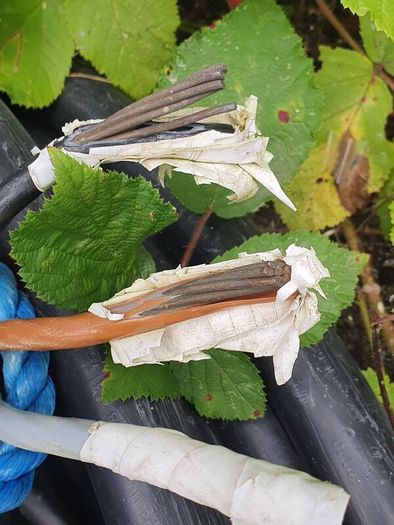 Armoured cable