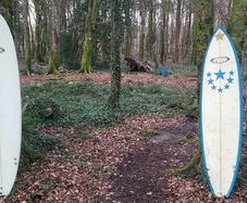 Surf Boards-price drop