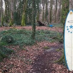 Surf Boards-price drop