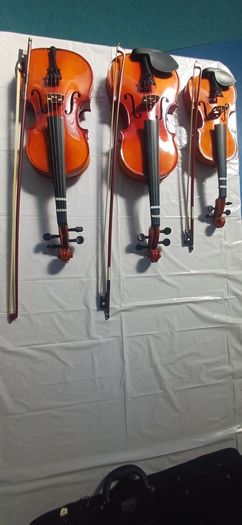 Violin