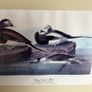 4 large wildfowl prints Framed Image 9