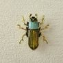 Beetle Brooch Pin Image 3