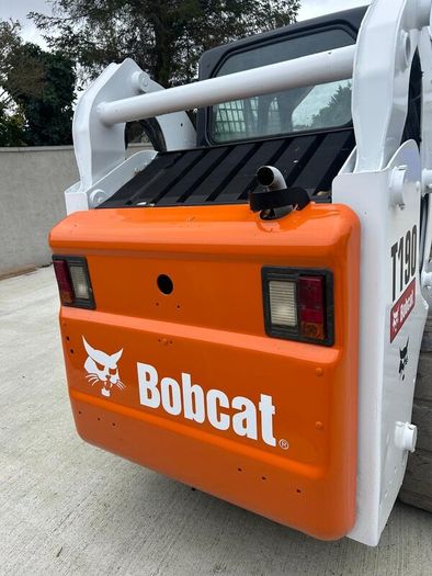 Bobcat
