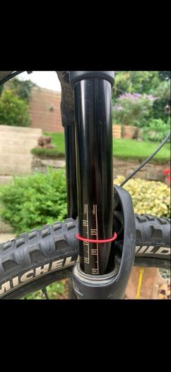 Professional Mountain Bike