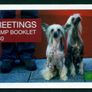 2006 Ireland Greetings (Chinese Year of the Dog) Commemorative Stamp Booklet Mint Never Hinged (MNH) Image 3