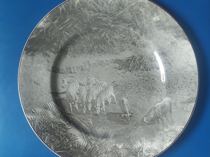 Royal Doulton African Series plate