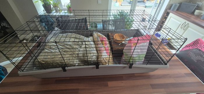 Rabbit / Guinea Pig Cage