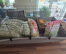 Rabbit / Guinea Pig Cage